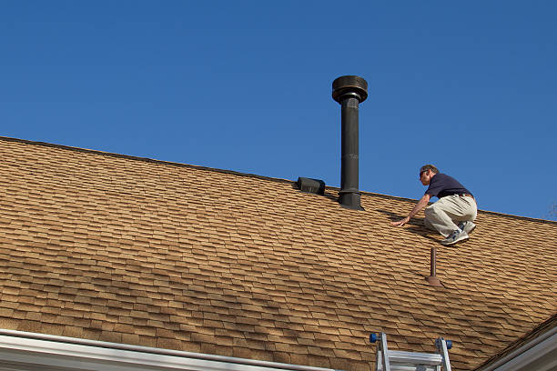 Best Roof Moss and Algae Removal  in USA